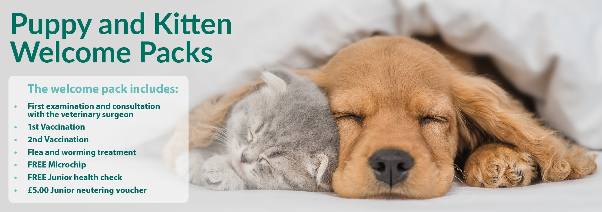 Park House Veterinary Centre Cares For all Animals Including Puppies and Kittens